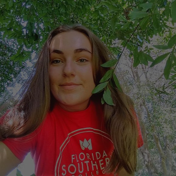 No theme Share Show - Picture 4 of 6